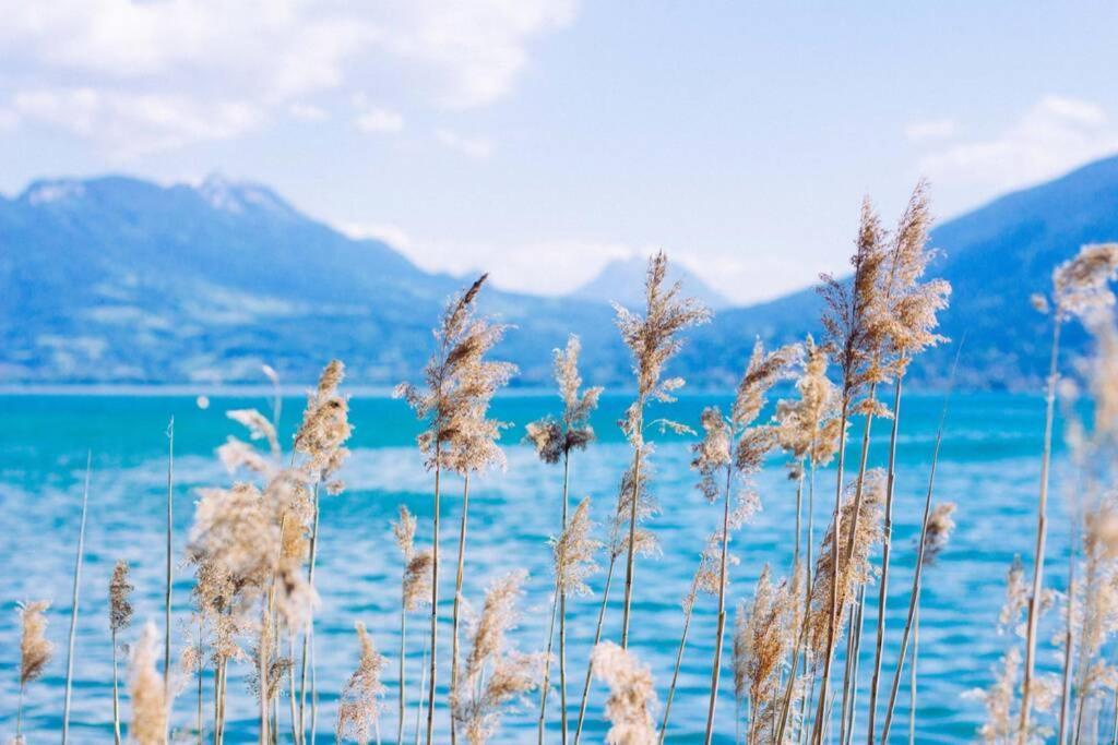 Le Boheme Beau T2 Vue Lac & Montagnes + Garage Annecy Kültér fotó