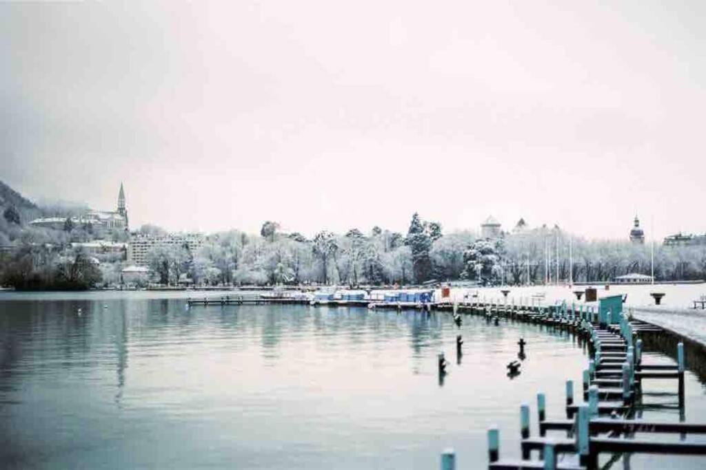 Le Boheme Beau T2 Vue Lac & Montagnes + Garage Annecy Kültér fotó